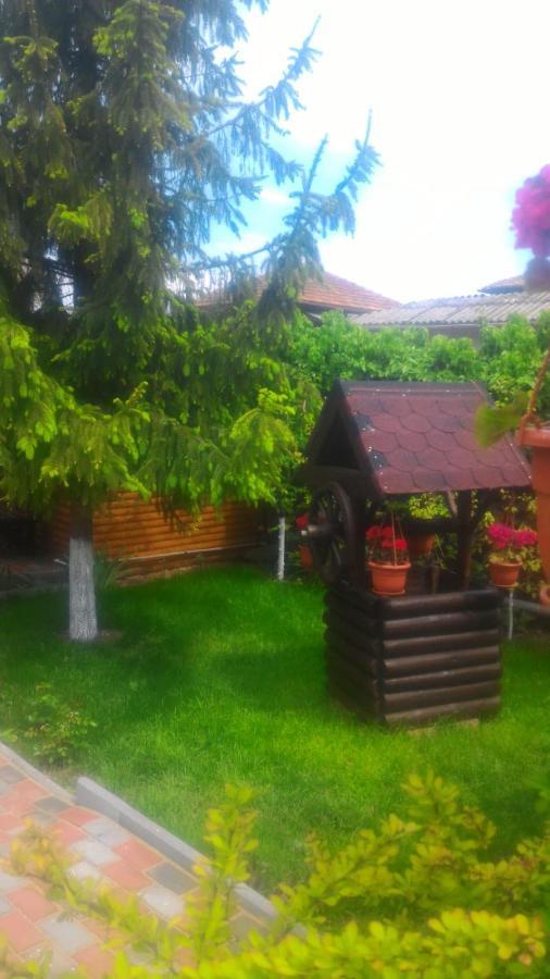 Casa Mola Apartment Mangalia Bagian luar foto