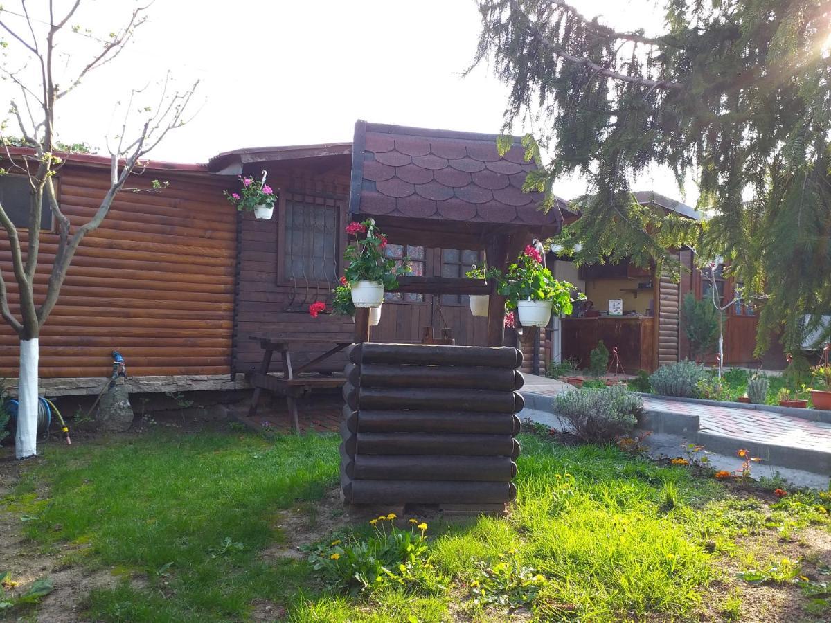Casa Mola Apartment Mangalia Bagian luar foto