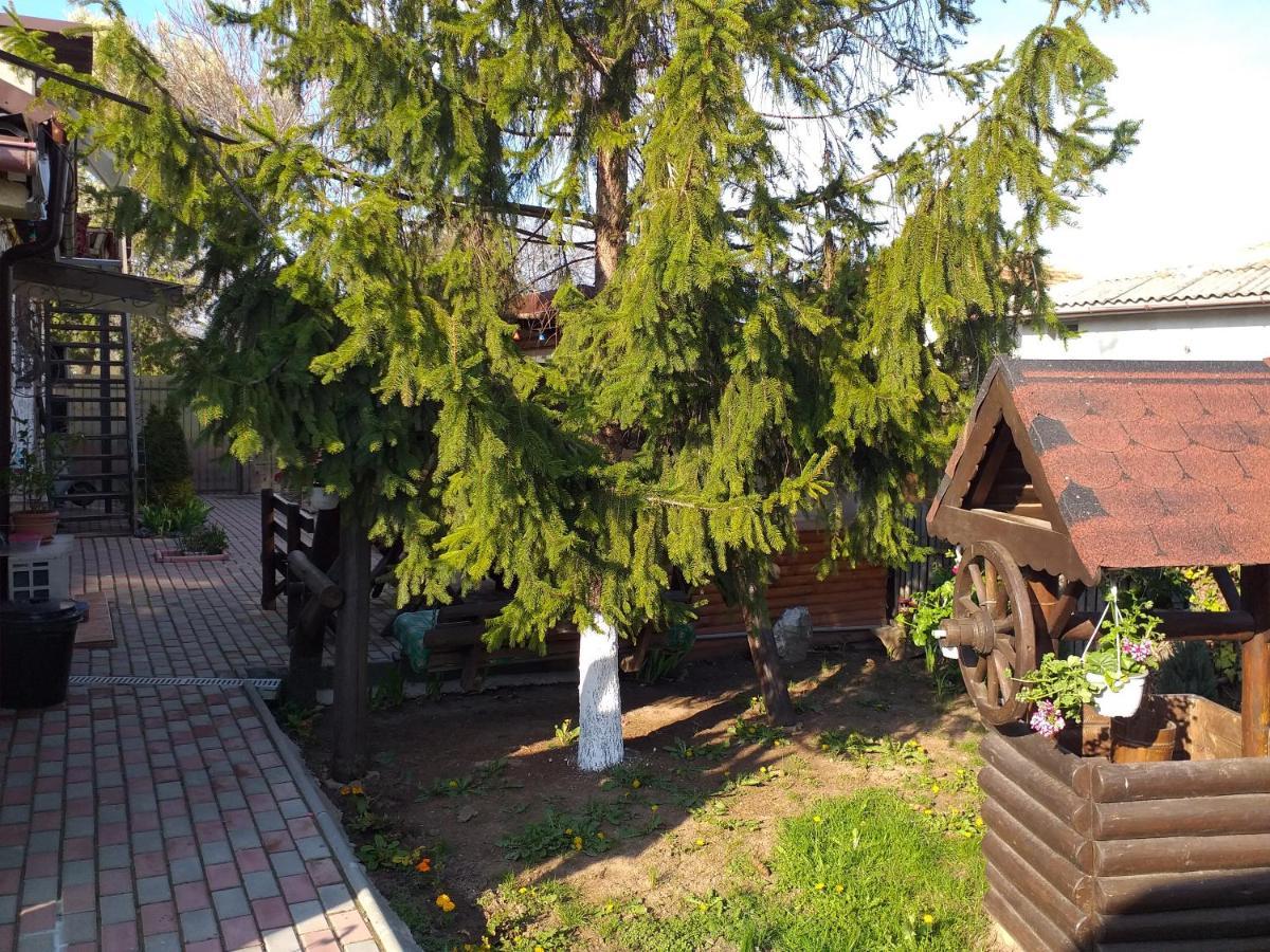 Casa Mola Apartment Mangalia Bagian luar foto