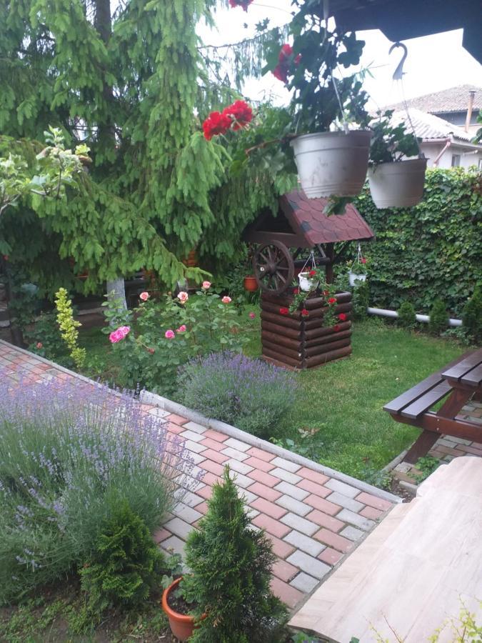 Casa Mola Apartment Mangalia Bagian luar foto