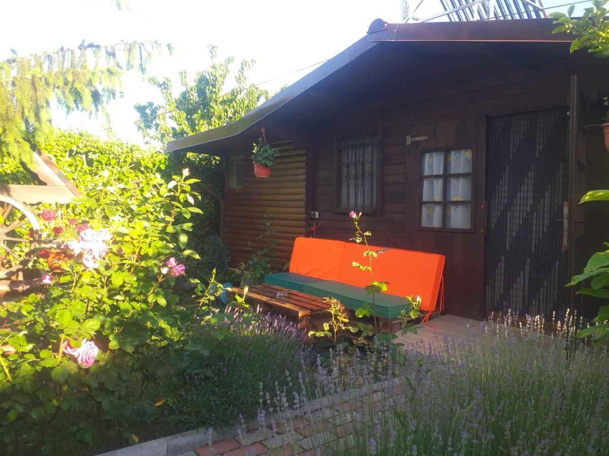 Casa Mola Apartment Mangalia Bagian luar foto